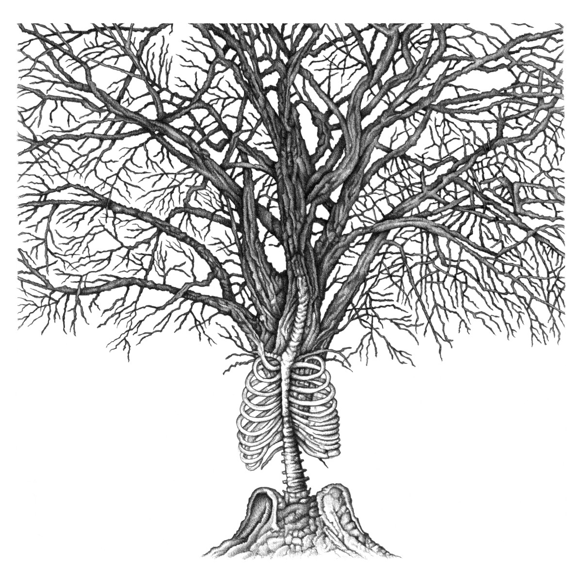 Vertebral Tree (2022)