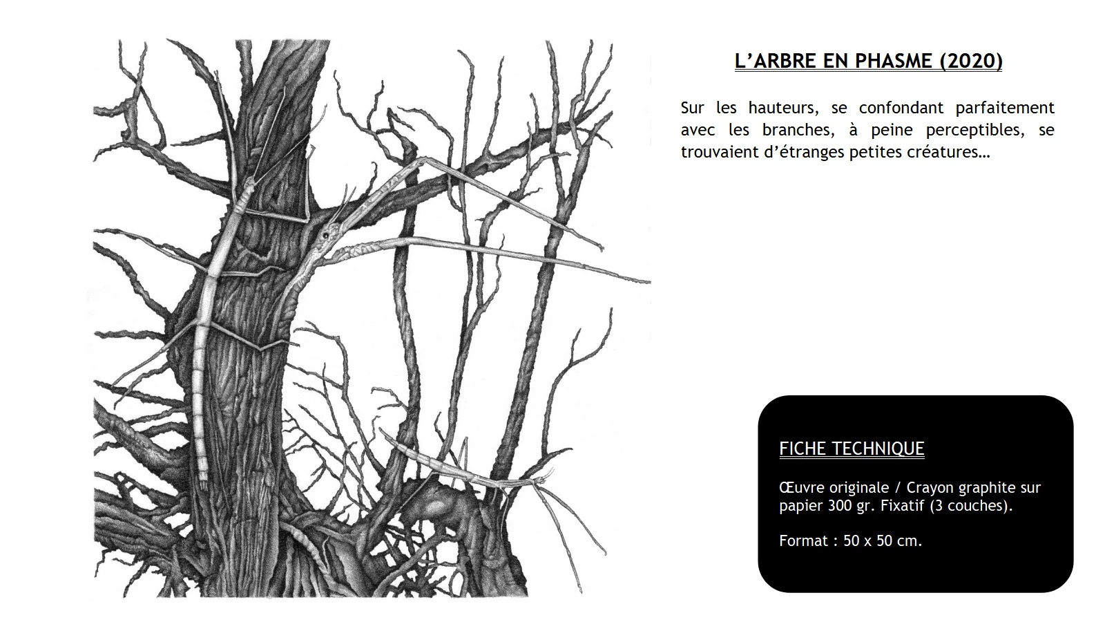 Expositions - Arbre à l'oeil - Voyage dystopique