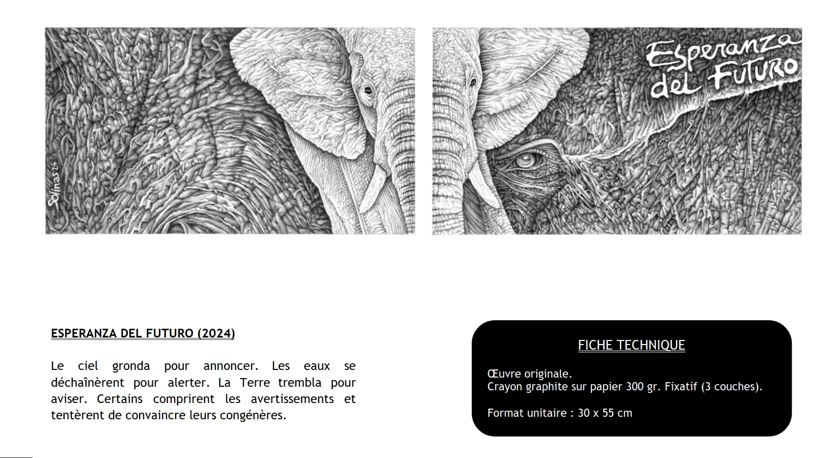 Expositions - Arbre à l'oeil - Voyage dystopique