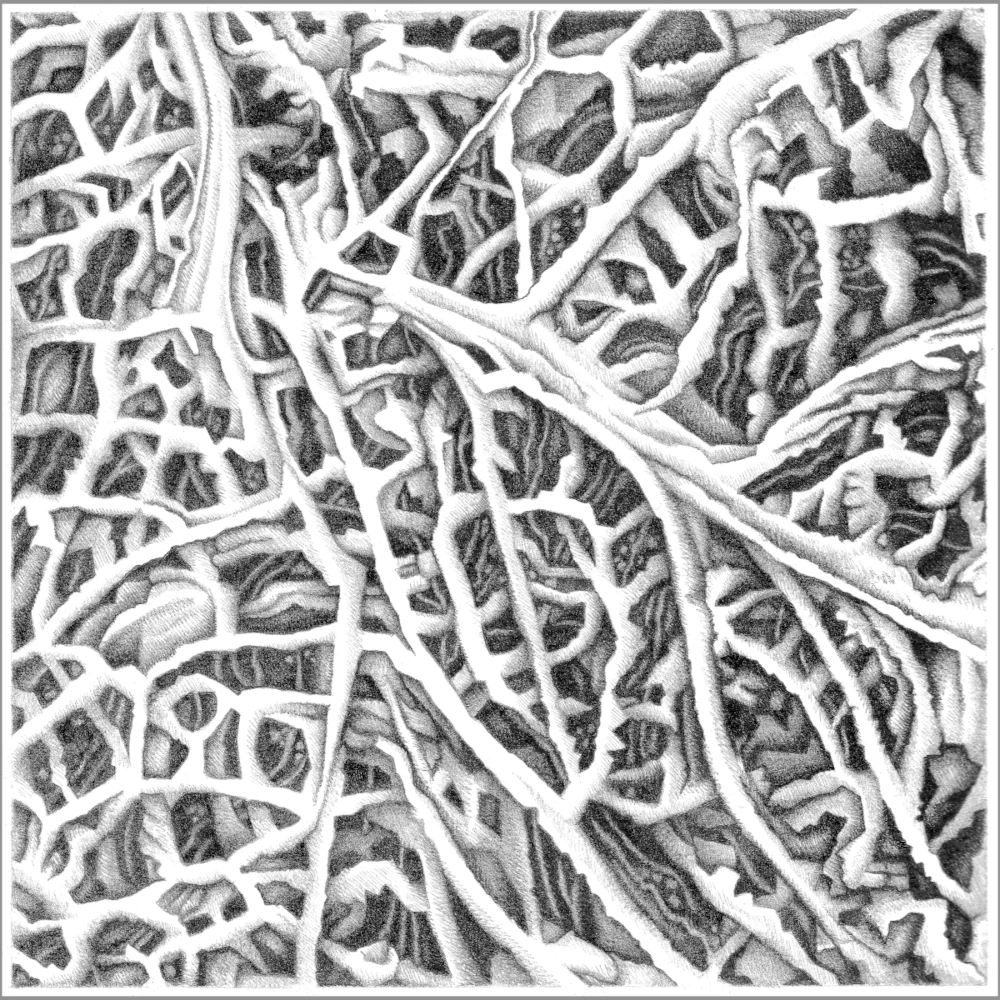 Illustration art abstrait graphite - dédale synaptique