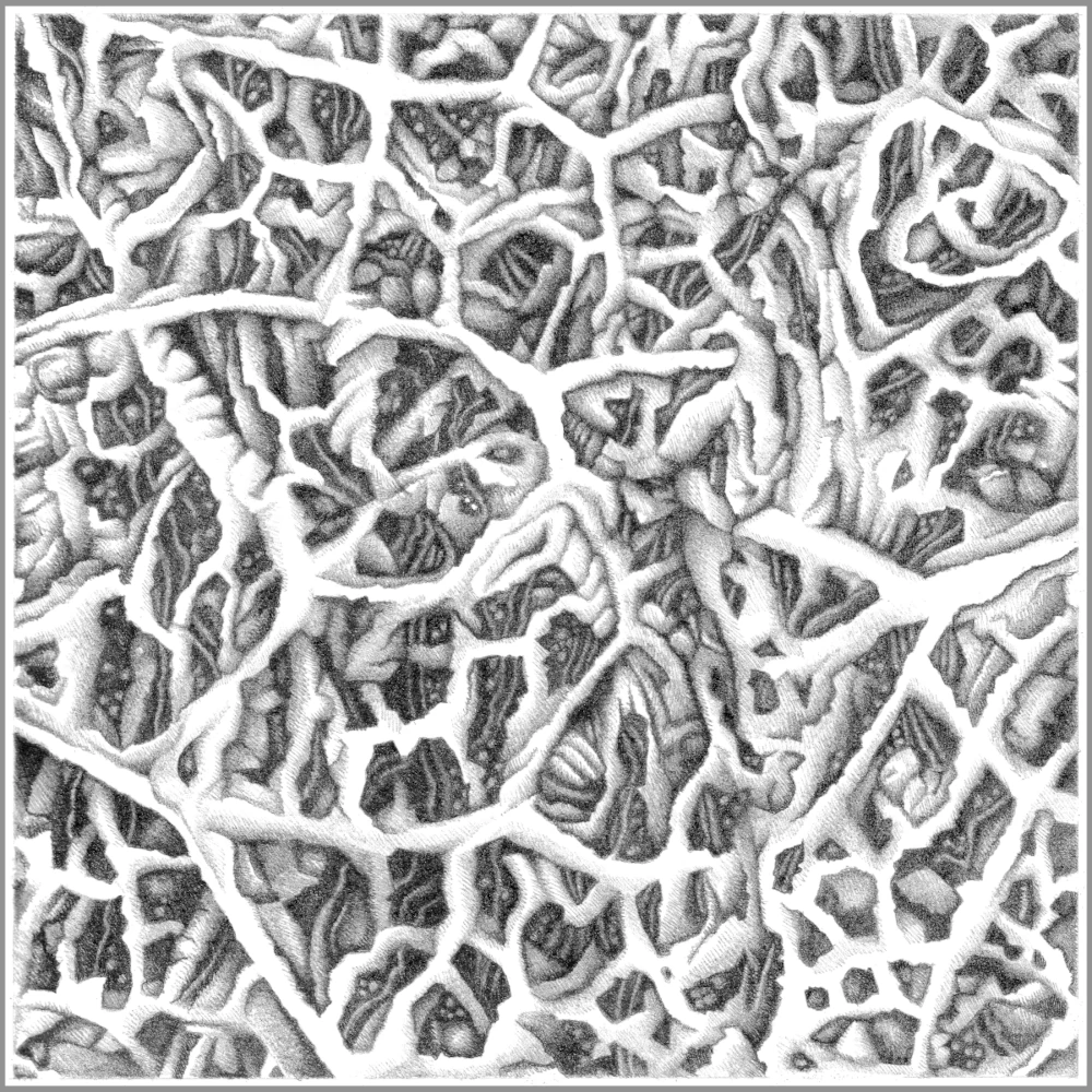 Illustration art abstrait graphite - dédale synaptique