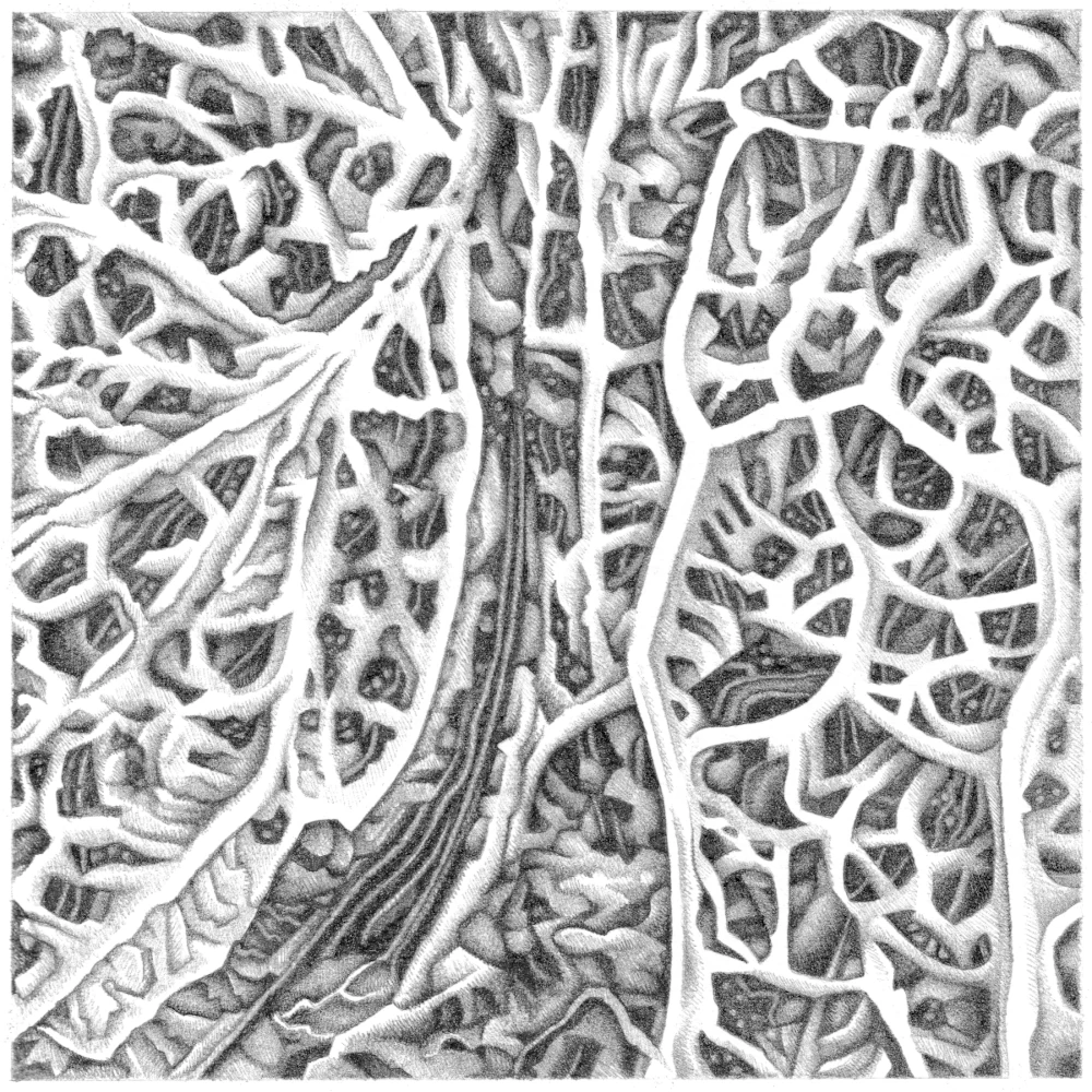 Illustration art abstrait graphite - dédale synaptique